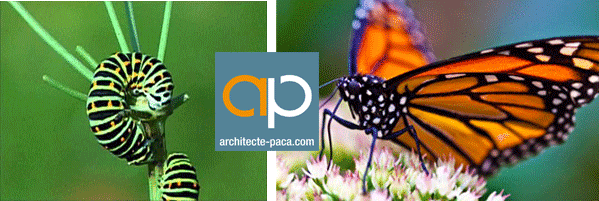 évolution Architecte-PACA.com 2015